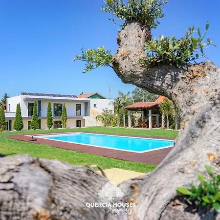 Cherry House In Viana Do Castelo * Mazarefes